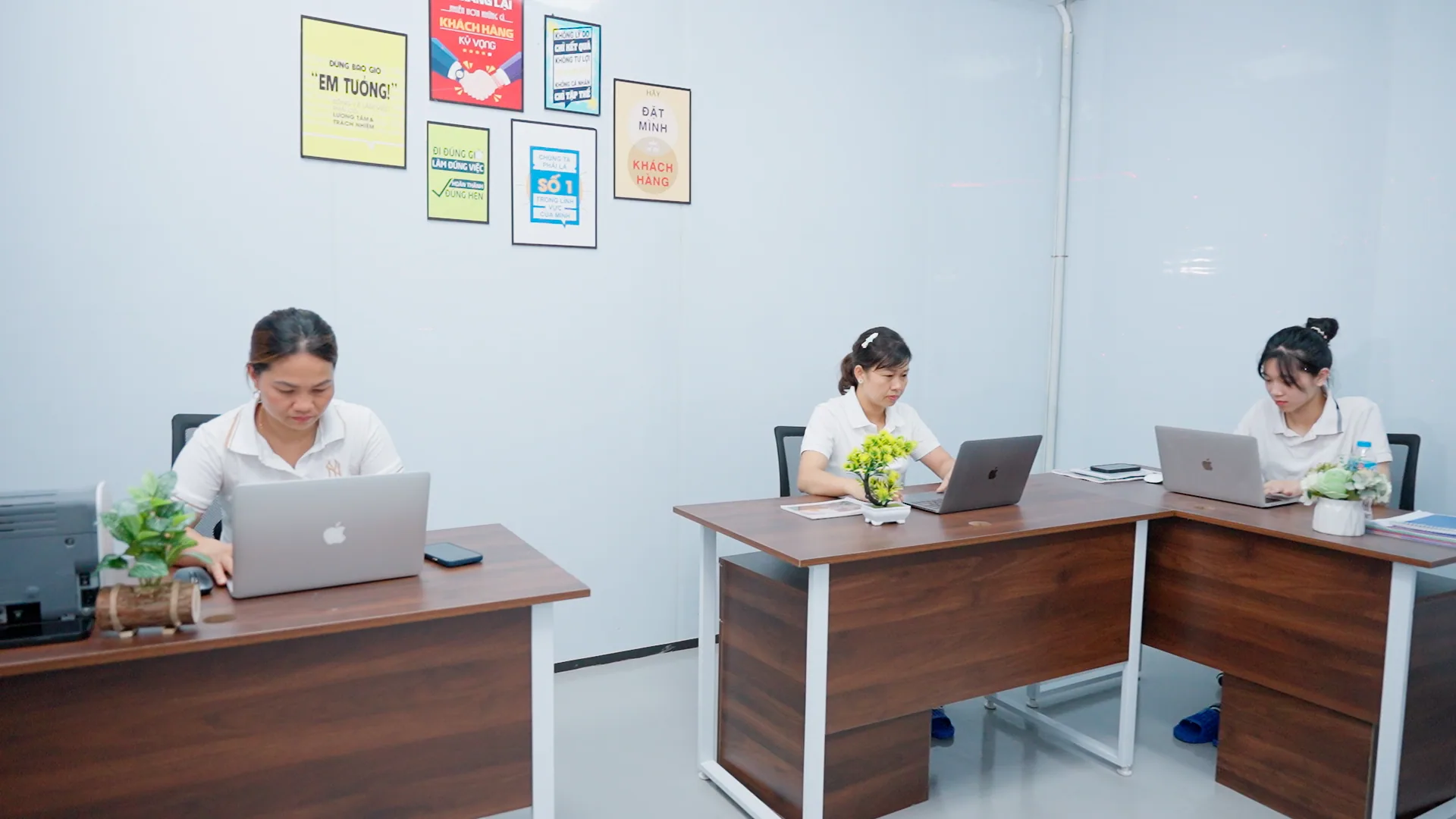 Nhân sự team kinh doanh Seoul Cosmetic làm việc với máy tính tại văn phòng